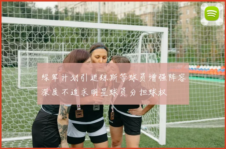 绿军计划引进琼斯等球员增强阵容深度不追求明星球员分担球权